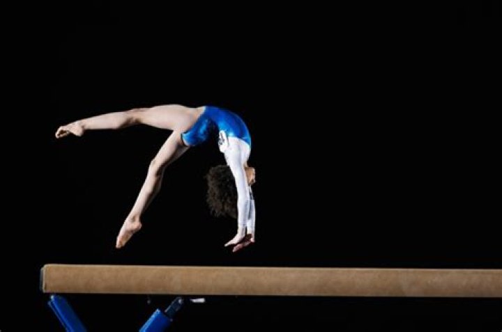 A Journey To Gymnastic Excellence