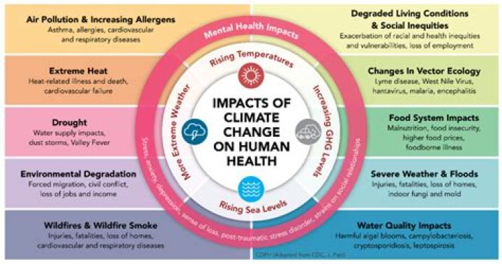Unveiling The Impacts And Solutions