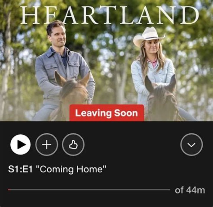 Unveiling The Reasons Behind Ty's Departure From "Heartland"